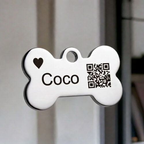 Placa basica Personlizada