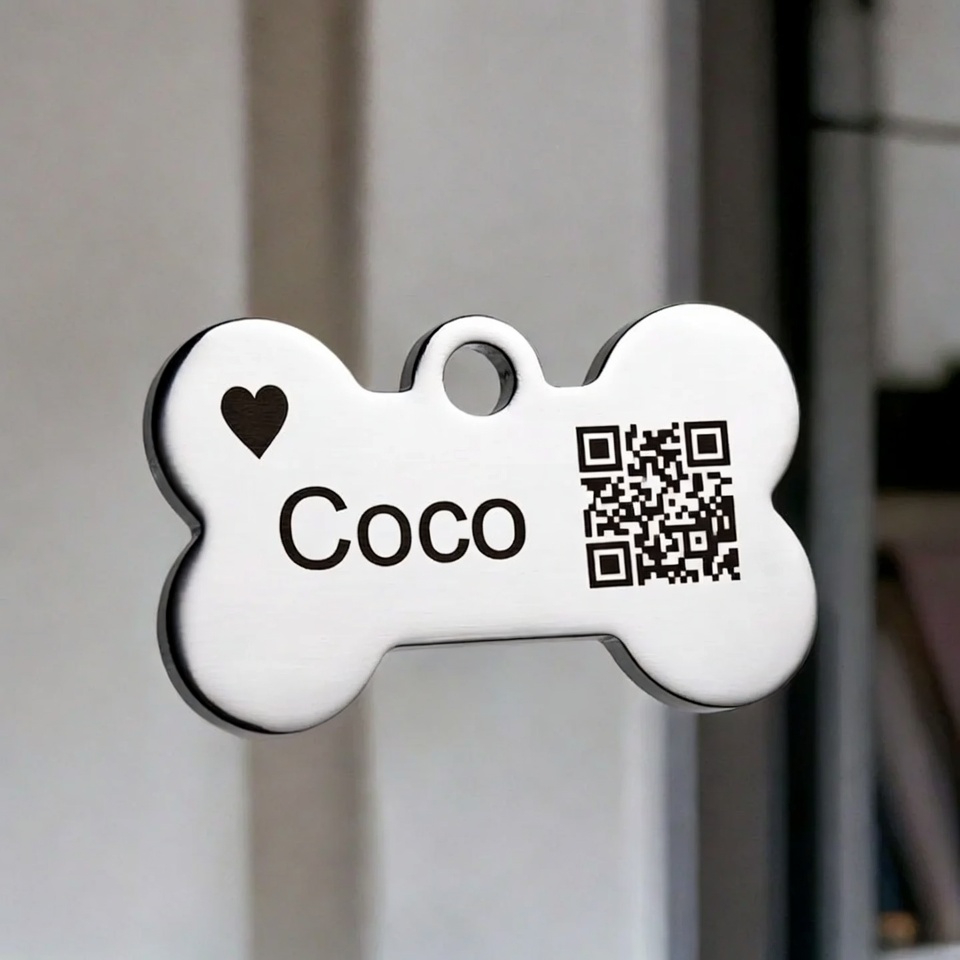 Placa basica Personlizada